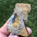 Trochocystites bohemicus